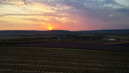 Similar image 21716126