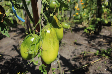 Similar image 21717805