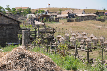 Similar image 21706406