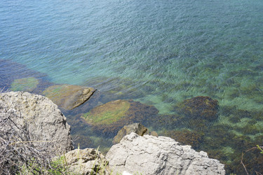 Similar image 21703384