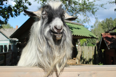 Similar image 21717815