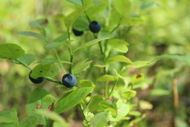 Similar image 21717822