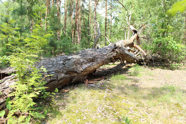 Similar image 21717823