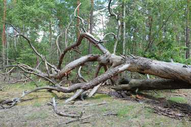 Similar image 21717824