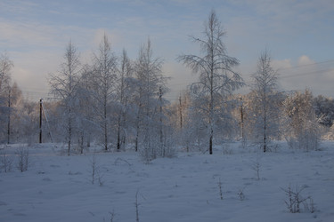 Similar image 21703162