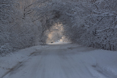 Similar image 21703164