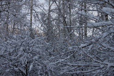 Similar image 21703165