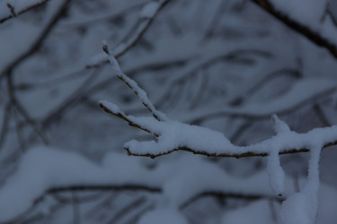 Similar image 21703166