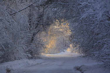 Similar image 21703167