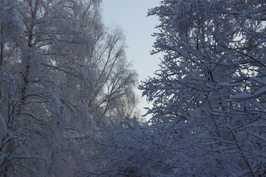 Similar image 21703168