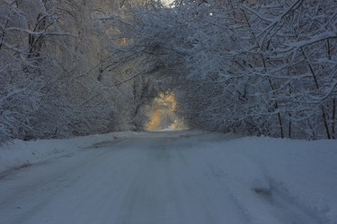 Similar image 21703169