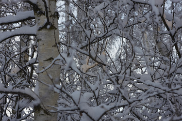 Similar image 21703170