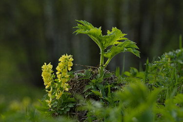 Similar image 21703605