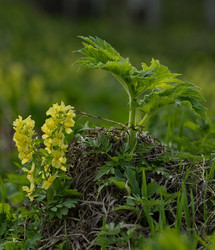 Similar image 21703606