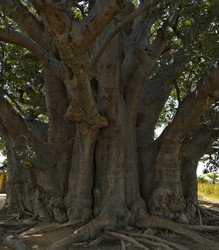 Similar image 21704573