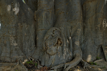 Similar image 21704575