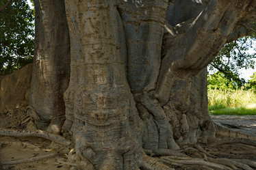 Similar image 21704576