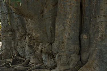 Similar image 21704577