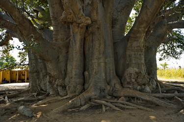 Similar image 21704578