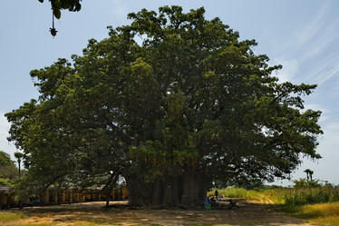 Similar image 21704579