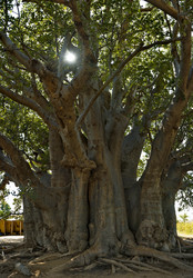 Similar image 21704580