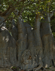 Similar image 21704581