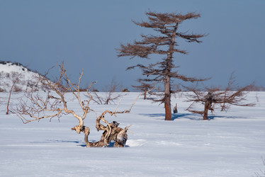 Similar image 21703172