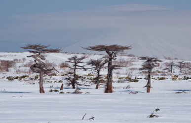 Similar image 21703173