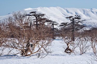 Similar image 21703174