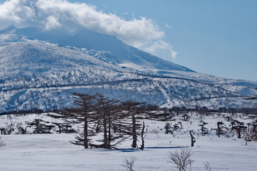 Similar image 21703175