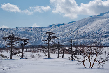 Similar image 21703176