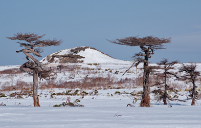 Similar image 21703177