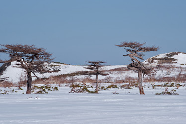 Similar image 21703178