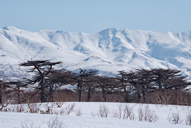 Similar image 21703179