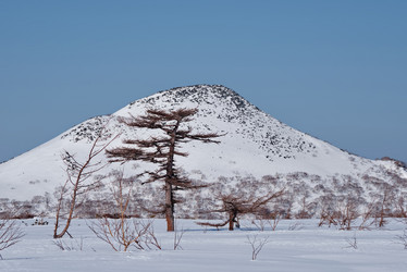 Similar image 21703180