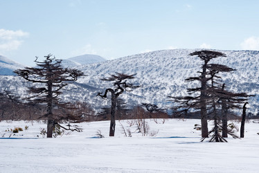 Similar image 21703181