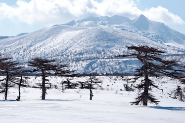 Similar image 21703182