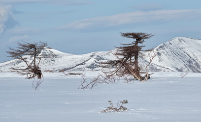 Similar image 21703185