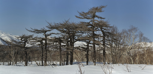 Similar image 21703186