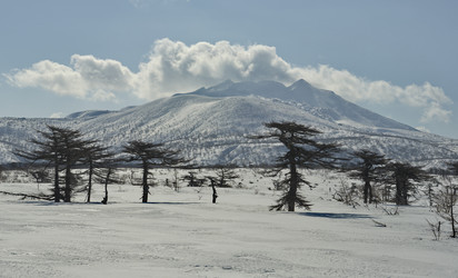 Similar image 21703187