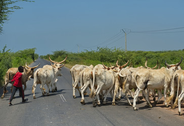 Similar image 21705393