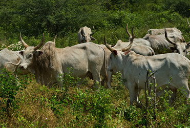 Similar image 21705396