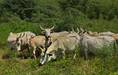 Similar image 21705398