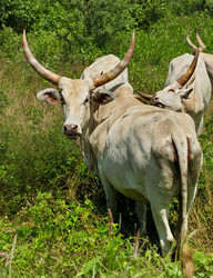 Similar image 21705399