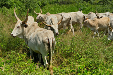 Similar image 21705400