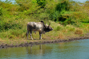 Similar image 21705403