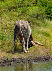 Similar image 21705405