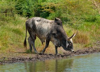 Similar image 21705407