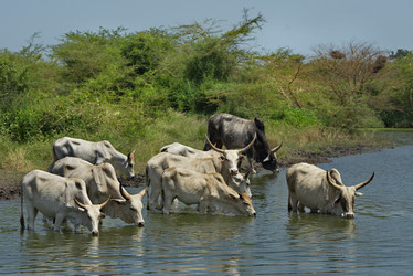 Similar image 21705408