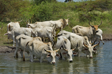 Similar image 21705409